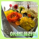 아네트플라워잠실 이미지