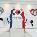 국가대표 라이언 태권도장 이미지