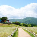 휘닉스베이커리