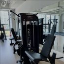 스텔라인핏 이미지