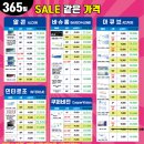 뉴비젼콘택트 이미지