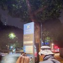 하계역 미성아파트(6동 앞) 버스정류장 | 6100번 버스 첫차(하계역) 탑승