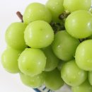 정호 농장 이미지