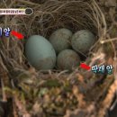 금치농장 이미지