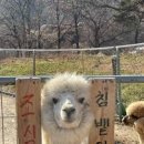 그림자호수 이미지