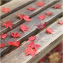 목동동로6길 이미지