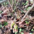 행복머리염색방 이미지