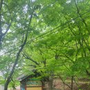 문호장 사당 이미지