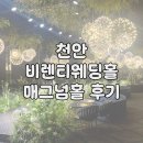 매그넘 | 천안 비렌티 웨딩홀투어 및 매그넘홀 계약 후기