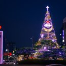 여수시청(시청앞) 이미지