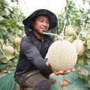 해남군-06 이미지