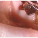 라페치과의원 이미지