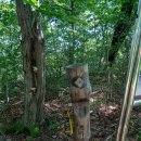 괘방령칼국수 | 추풍령에서 괘방령까지의 백두대간