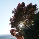 설악초등학교 이미지