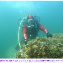 인구 리조트 이미지