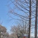 장자호수공원2 이미지