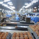 태백축산 이미지