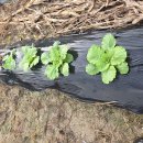 건우농장 이미지