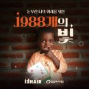11월헤어 이미지