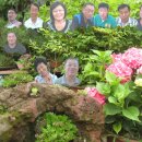 진도초등학교 이미지