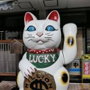 온천마을 이미지