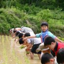 아름농장 이미지