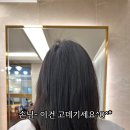 루이스헤어샵