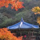 산운수석 이미지