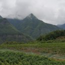 봉호농장 이미지