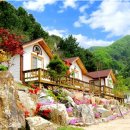 무릉도원팬션 이미지