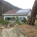 대동농원 이미지