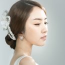 플라비 이미지