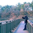 진량국민체육공원 이미지