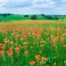 지산 행정사 이미지