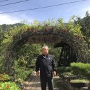 하신2리 이미지