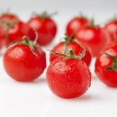 순수세정 이미지