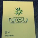 안나;헤어 이미지