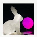 아르떼뮤지엄부산 | [부산 유료 전시] 아르떼뮤지엄 부산 관람 후기