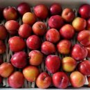 호준농장 이미지