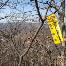 덕솔이네 이미지