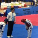 교동태권도 이미지