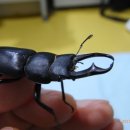 장풍이닷컴 이미지