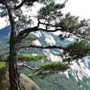 【58. 희양산曦陽山(괴산), 996m 】 「햇빛이 비치면 거대한 백색 화강암 바위가 하얗게 빛난다.」 이미지