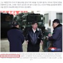 돼지끼리