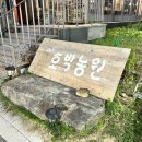 (영종도여행기) 운서동 고기듬뿍 산더미 애호박찌개 맛집 공원앞호박농원
