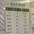 청춘어묵 네이버블로그