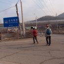 쌍동교