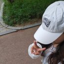 한산향교 | 대중교통으로 갈 수 있는 서울 근교 계곡 :: 과천향교 계곡 물놀이, 맛집 추천 향교집