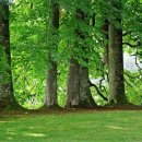 동막골 쉼 이미지