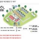 일랑일랑 애견캠핑 인제주 이미지
